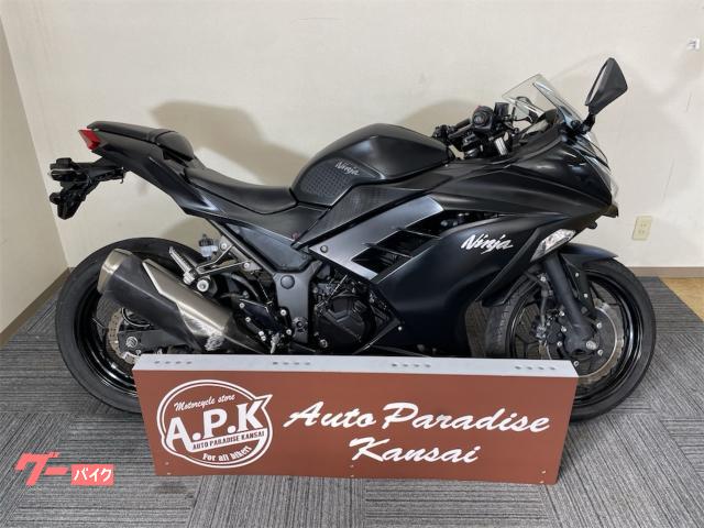 Ｎｉｎｊａ　２５０　２０１５年モデル　ＥＴＣ