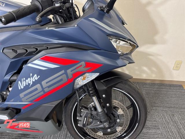 新品未使用　東京　スカパラ　セサミストリート　ウインドブレーカー　Lサイズ ぱっせ様専用 東京 スカパラ セサミストリート ウインド