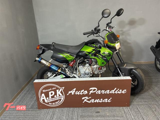 ＫＳＲ１１０　２００８年モデル　武川パーツ多数　Ｋファクトリーマフラー
