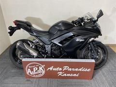 カワサキ　Ｎｉｎｊａ　２５０　２０１５年モデル　ＥＴＣ