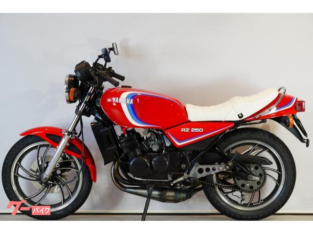 ヤマハ RZ250 1982年モデル 国内物 3オーナー車｜KMC