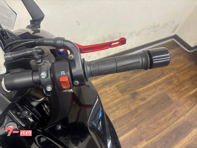 カワサキ Ninja 1000 2018年モデル ZXT00W型 カワサキ Ninja 1000 2018年モデル ZXT00W型