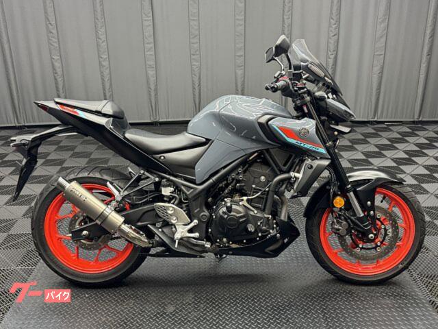 ＭＴ−２５　ＷＲ’Ｓスリップオン　ＥＴＣ２．０　充電付スマホホルダー　ＭＲＡスクリーン　ＵＳＢ電源　アジャスタブルレバー等