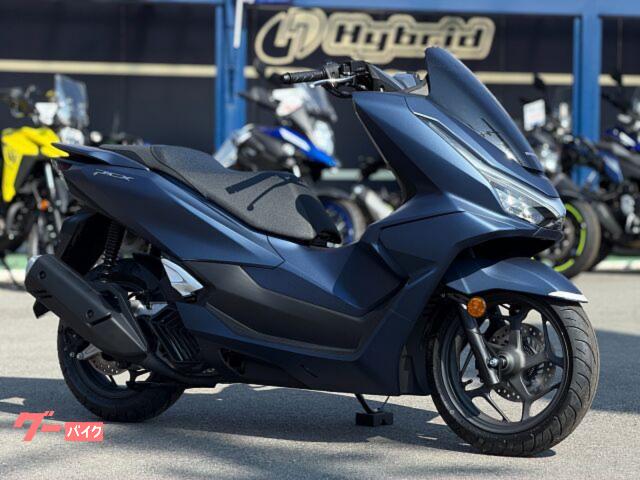 ＰＣＸ　２０２５年最新モデル　マットスターリーブルーメタリック