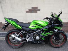 カワサキ　Ｎｉｎｊａ　ＲＲ１５０　チャンバー　タイガーパフォーマンス製バックステップ　ＬＥＤウインカー付きナンバーホルダー　新品バッテリー