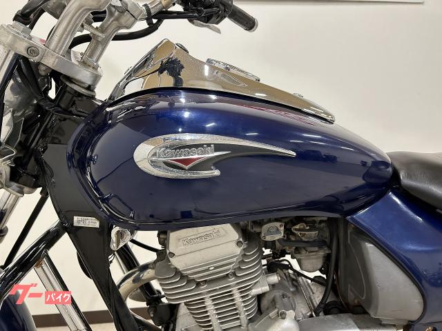 カワサキ エリミネーター１２５ ２００２年モデル エンジンガード｜バイク王 りんくうシークル店｜新車・中古バイクなら【グーバイク】