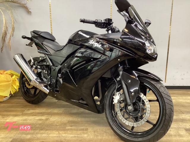 Ｎｉｎｊａ　２５０Ｒ　フェンダーレス　バックステッププレート　スモークスクリーン　スモークウインカー