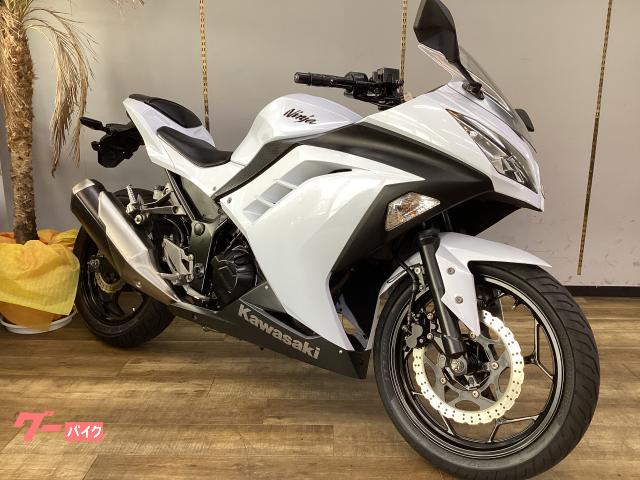 Ｎｉｎｊａ　２５０　ノーマル車　点検整備済み