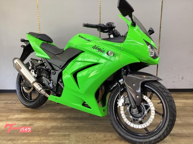 Ｎｉｎｊａ　２５０Ｒ　ノジママフラー　ＦＲフェンダーカスタム　点検整備済み