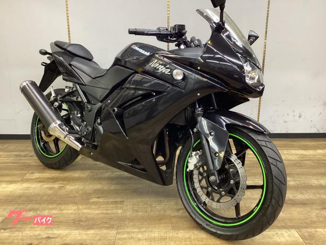 Ｎｉｎｊａ　２５０Ｒ　エンジンスライダー付き　ノーマル車　点検整備済み