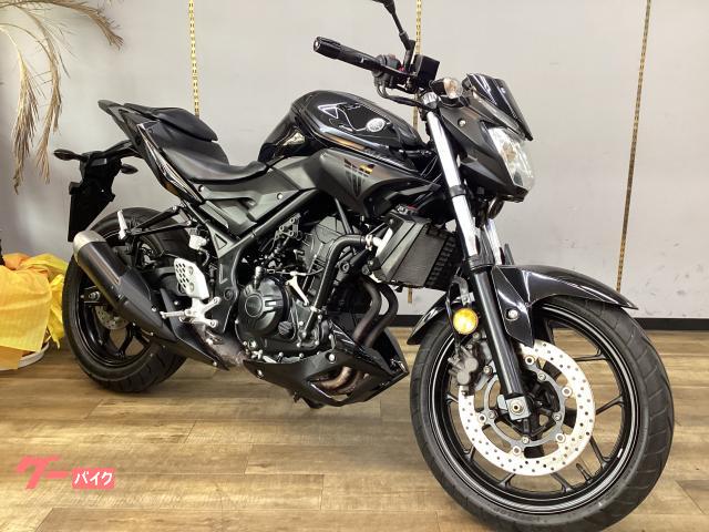 MT−25 カスタムレバー LEDヘッドライト 点検整備済み