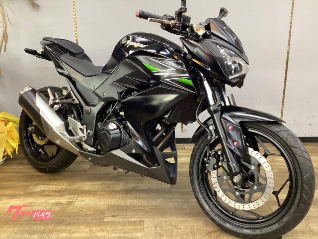 Ｚ２５０　フェンダーレス　レバー　ミラー　ＬＥＤヘッドライトカスタム