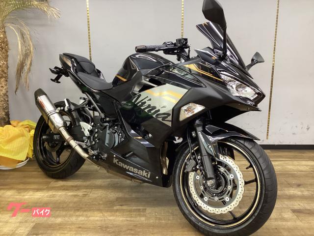 Ｎｉｎｊａ　２５０　ＡＢＳ　イモビアラーム　マフラー　フェンダーレス　スモークスクリーン　点検整備済み