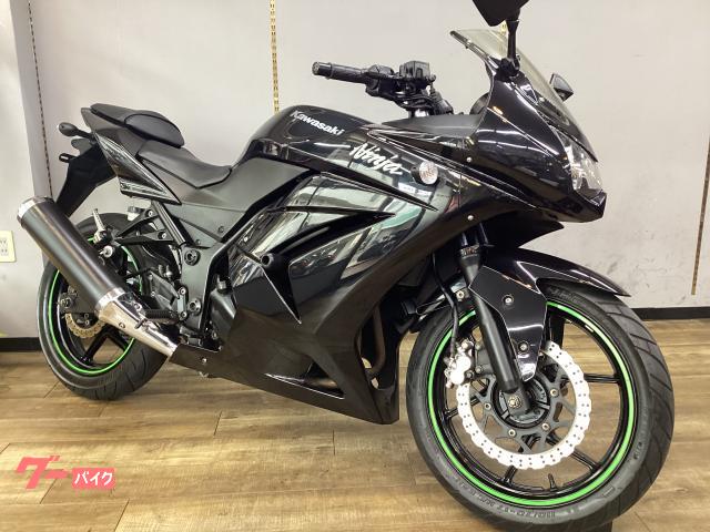 Ｎｉｎｊａ　２５０Ｒ　エンジンスライダー付き　ノーマル車　点検整備済み