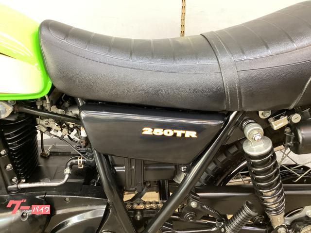カワサキ 250TR FI インジェクション車 スーパートラップ