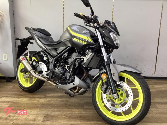 ＭＴ－２５　ＲＧ４３Ｊ　マフラー　レバー　ミラーカスタム　点検整備済み