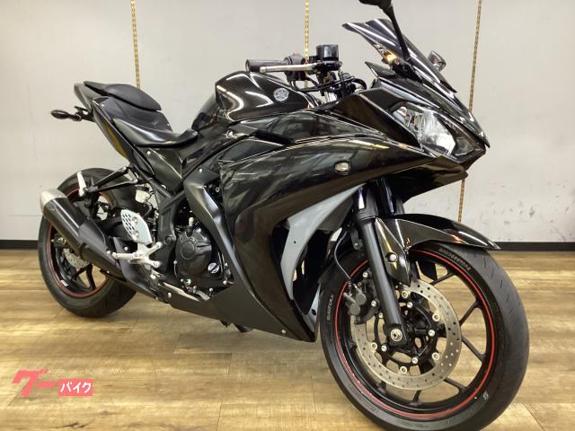 YZF−R25 フェンダーレス チェーンカバー レバーカスタム 点検整備済み