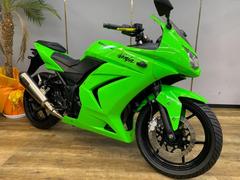 カワサキ　Ｎｉｎｊａ　２５０Ｒ　カスタムマフラー　ＬＥＤウインカーテール　レバー　ハンドルカスタム