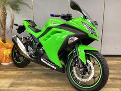 カワサキ　Ｎｉｎｊａ　２５０　シングルシートカウル　バーエンド　グリップカスタム　点検整備済み