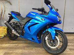 カワサキ　Ｎｉｎｊａ　２５０Ｒ　メットホルダー付き　ノーマル車