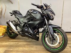 カワサキ　Ｚ２５０　シングルシートカウル　フェンダーレス　スクリーン　レバー　ミラーカスタム　点検整備済み