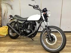 カワサキ　２５０ＴＲ　ＦＩ　インジェクション車　ウインカー　ミラーカスタム