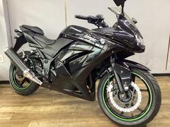 カワサキ　Ｎｉｎｊａ　２５０Ｒ　エンジンスライダー付き　ノーマル車　点検整備済み