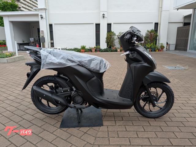 Ｄｉｏ１１０　Ｌｉｔｅ　新基準原付・原付免許運転可