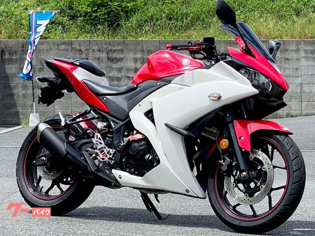 ＹＺＦ−Ｒ２５　ＲＩＤＥＡ製フロントスプロケカバー／リアフェン／リザーブタンクカバー・ＭＩＴＳＵＢＡ製ＥＴＣ装備　５２４４