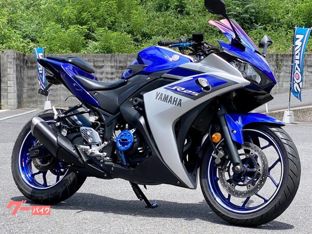 ＹＺＦ−Ｒ２５　ＲＩＤＥＡ製スプロケカバー・社外スクリーン／フェンレスキット装備　５３３７
