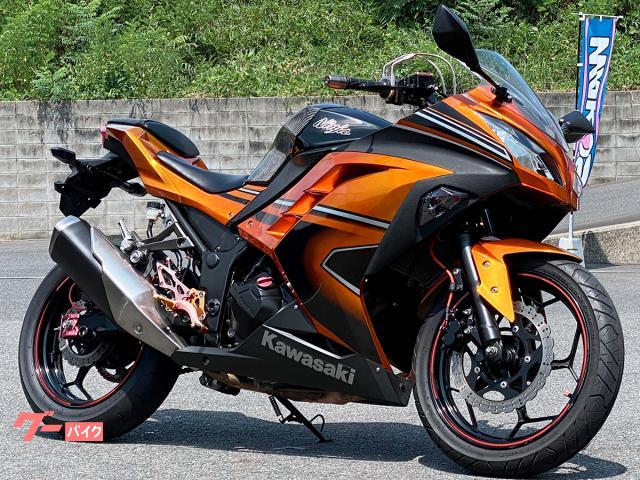 Ｎｉｎｊａ　２５０　ＳｐｅｃｉａｌＥｄｉｔｉｏｎ　ＢＥＥＴ製バクステ・ＡＣＴＩＶＥ製ハイスロＫＩＴ装備　５３８６