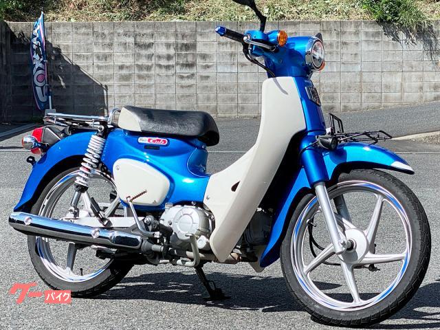 ナポレオン遺品集 小出楢󠄀重 新しき油絵｜青幻舎 SEIGENSHA Art Publishing, Inc.