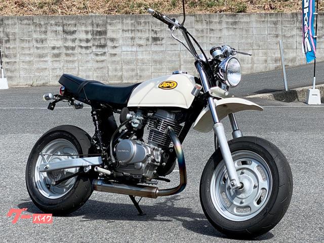 Ａｐｅ１００　チタンフルエキマフラー・ＫＥＩＨＩＮ製キャブ・ＴＡＫＥＧＡＷＡ製フィルター装備　５４５４