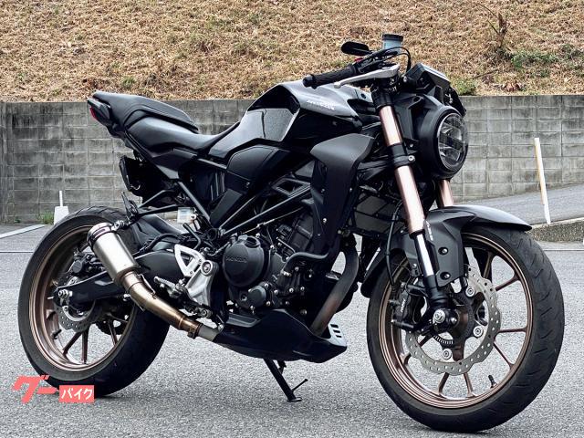 ＣＢ２５０Ｒ　社外スリップオンマフラー・ＮＩＳＳＩＮ製ラジアルブレーキマスターシリンダー装備　５４６６