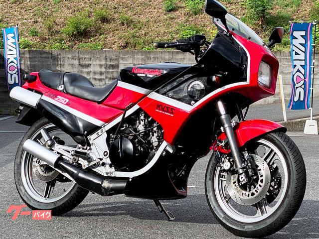 ＫＲ２５０Ｓ　ＸＡＭ製スプロケット・ＳＷＡＧＥＬＩＮＥ製ブレーキホース・ＭＩＴＳＵＢＡ製ＥＴＣ装備　５５０１