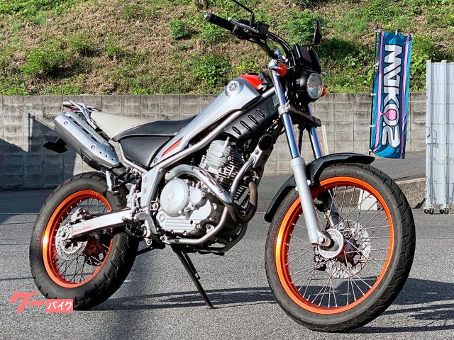 トリッカー　ＲＡＬＬＹ製レバー・ＡＬＣＡＮｈａｎｄｓ製グリップ・社外バーエンド装備　５５１７