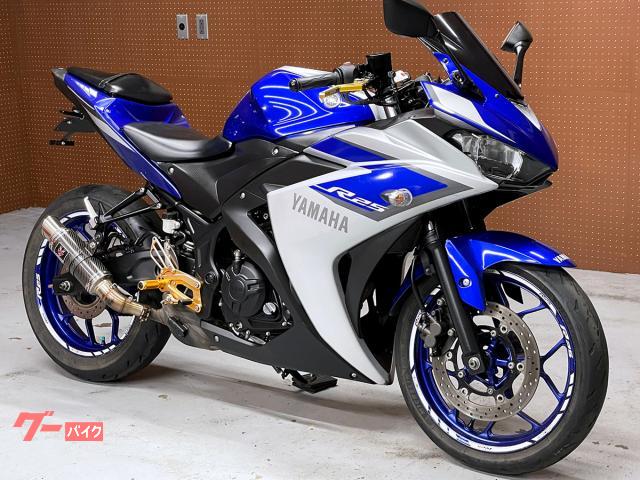ＹＺＦ−Ｒ２５　ＬＣＩＰＡＲＴＳ製スリップオンマフラー・社外バックステップ装備　Ｎｏ．５７３１