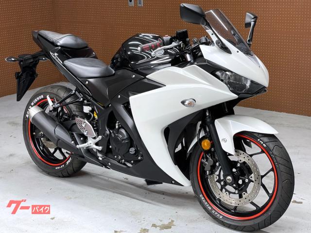 ＹＺＦ－Ｒ２５　ＰＲＯＧＲＩＰ製グリップ／ホイールリムストライプ装備　Ｎｏ．５８３９
