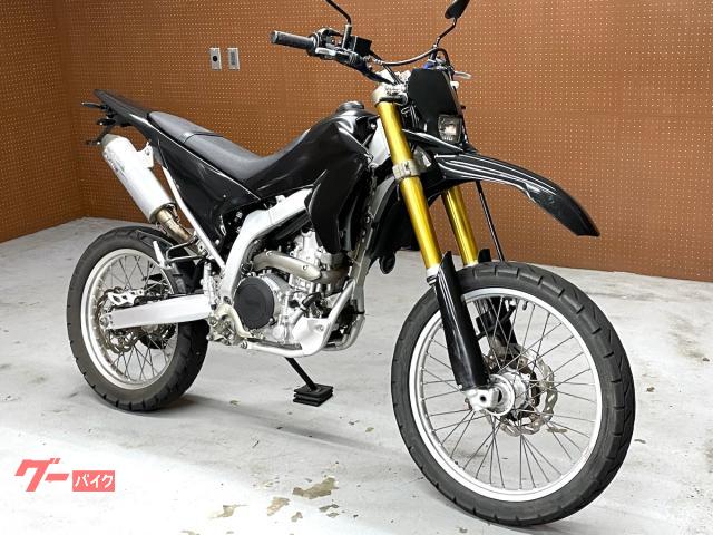 ＷＲ２５０Ｒ　　ＤＥＬＴＡ製サイレンサー・ＤＡＹＴＯＮＡ製フェンダーレスＫＩＴ装備　　Ｎｏ．５９２６
