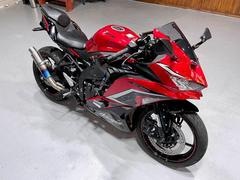 カワサキ　Ｎｉｎｊａ　ＺＸ−２５Ｒ　ＳＥ　ＡＢＳ　スリップオンマフラー／リアフェンダーレスＫＩＴ／エンジンスライダー装備　４９１６