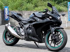 スズキ　ＧＳＸ２５０Ｒ　社外セパハン・ＵＫ製レバー・リアフェンレスＫＩＴ・ＭＩＴＳＵＢＡ製ＥＴＣ装備　５４０６