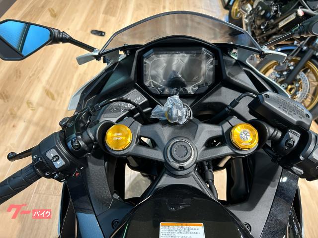 カワサキ Ninja ZX－4R SE 2026年モデル パールロボ