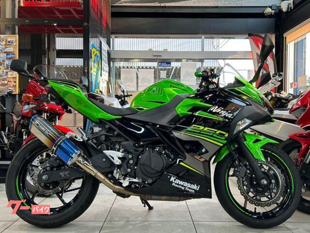 Ｎｉｎｊａ　２５０　ＥＸ２５０Ｐ　マフラー　フェンダーレス　マルチバー　レバー　ライムグリーン　エボニー