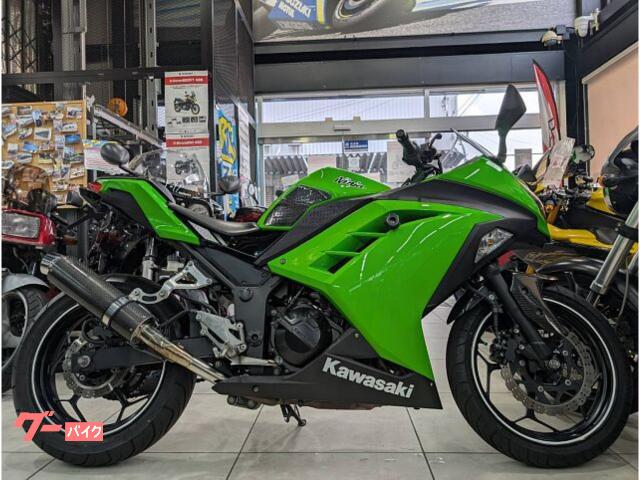 Ｎｉｎｊａ　２５０　ＥＸ２５０Ｌ　マフラー　フェンダーレス　フロントフェンダー　エンジンライダー　ライムグリーン