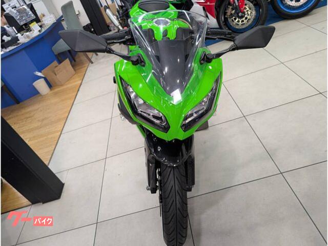 純正フロントフェンダー　Ninja250. EX250L 楽天市場】ninja250 純正 フロントフェンダー（車用品・バイク