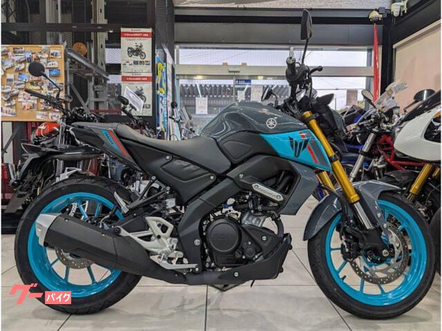 ＭＴ−１２５　ＭＴ−１２５　パステルダークグレー　グリップヒーター　タイプＣ電源