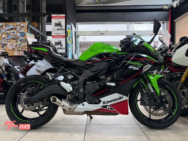 Ｎｉｎｊａ　ＺＸ−２５Ｒ　ＺＸ−２５ＲＳＥ　トリックスターレバーガード　オーバーレーシング　フェンダーレス　マルチバー　ＵＳＢ　Ｅ