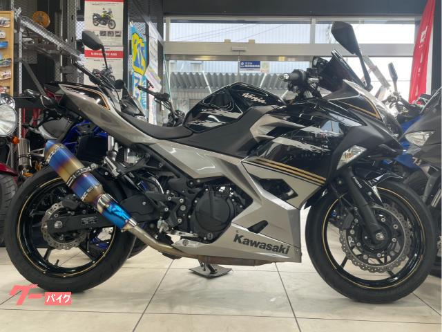 Ninja 250 KAWASAKI NINJA250 社外マフラー 社外レバー 社外グリップ 社外バーエンド 社外スクリーン 社