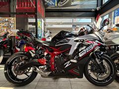カワサキ　Ｎｉｎｊａ　ＺＸ−２５Ｒ　ＺＸ２５０Ｅ　フェンダーレス　スライダー　マルチバー　レバー　グリップ　バーエンド　ＥＴＣ