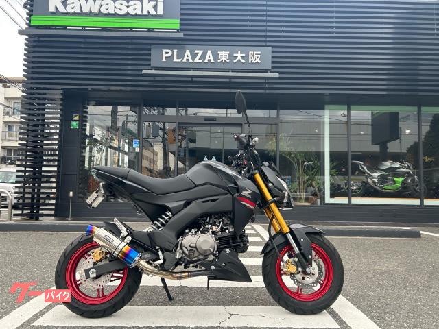 Ｚ１２５ＰＲＯ